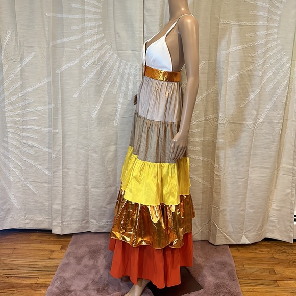 Kimberly Goldson Tiered Ombré Maxi Dress - Picture 6 of 10